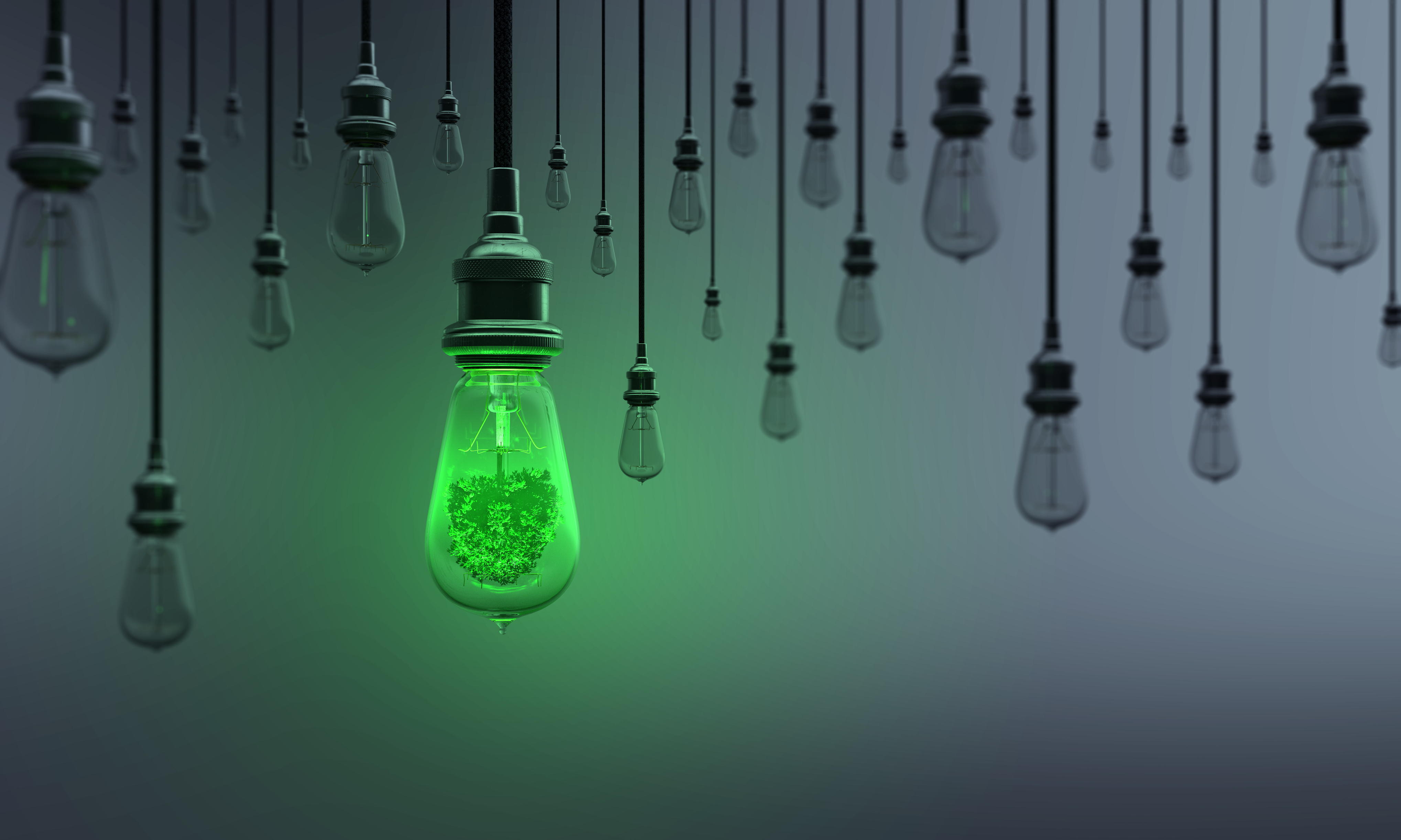 A Light Bulb includes tree between the others on dark background